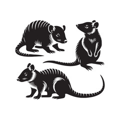 Elegant bandicoot silhouette for educational materials - bandicoot black vector
