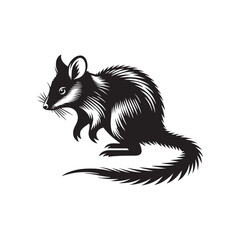 Stylish bandicoot silhouette for creative applications - bandicoot illustration - minimalistic bandicoot vector
