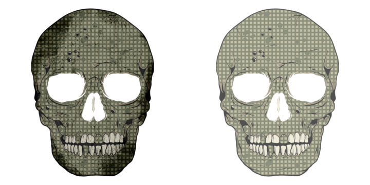 Camouflage skull set illustration, tee shirt graphics, vectors, typography, skull set with pattern, isolated white background. Dtf and dtg print for tee, sweatshirt and hoodie.