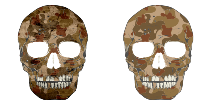 Camouflage skull set illustration, tee shirt graphics, vectors, typography, skull set with pattern, isolated white background. Dtf and dtg print for tee, sweatshirt and hoodie.