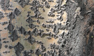 texture of stone