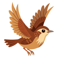 pacific wren flying on white