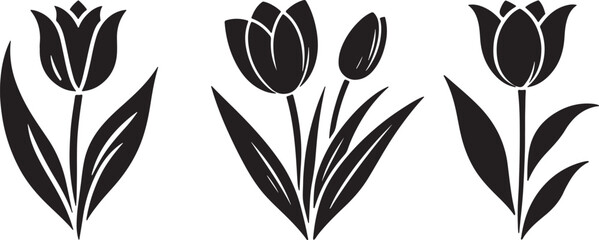 Tulip silhouette vector illustration.