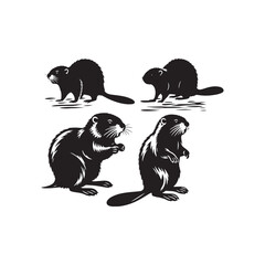 Contemporary beaver silhouette for various uses - Beaver illustration - minimallest Beaver vector  © Vectorhub