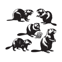 Artistic portrayal of beaver silhouette - Beaver black vector  © Vectorhub