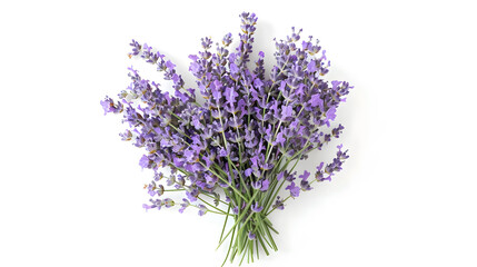 Obraz premium Top view of a bouquet of purple lavender flowers on a white background Bunch of lavandula flowers Photo from above : Generative AI