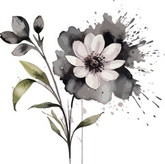 Watercolor flowers black line art splash. Floral illustration