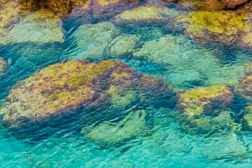 reef, Otranto, Apulia, Italia, Europe, March 2024