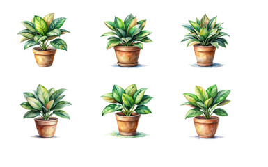 Obraz premium Watercolor illustration of various house plants in vibrant colors, adding a touch of nature to any space.