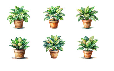 Fototapeta premium Watercolor illustration of various house plants in vibrant colors, adding a touch of nature to any space.