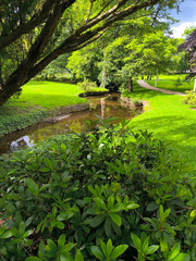 City park surrounded by a stream in summer in Marianske Lezne
