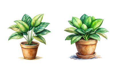 Obraz premium Watercolor illustration of various house plants in vibrant colors, adding a touch of nature to any space.