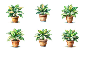 Watercolor illustration of various house plants in vibrant colors, adding a touch of nature to any space.