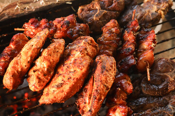 South African braai meat including chicken kebabs, chops.