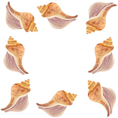 Shell frame in watercolor hand-drawn isolated on white. High quality illustration for notebooks, cards, posters, restaurant menu, souvenirs, stickers, tourism ads, dishes, room design and decor