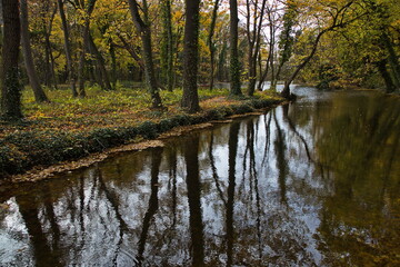 Autumn in castle garden in Pottendorf,Lower Austria,Austria,Europe
