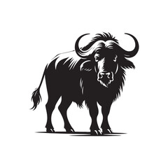 Detailed Buffalo silhouette for diverse projects - Buffalo black vector
