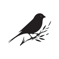 Contemporary portrayal of Canary silhouette - Canary illustration - minimallest Canary vector

