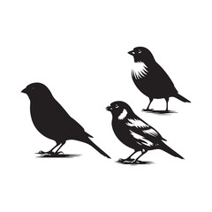 Creative Canary silhouette for digital and print media - Canary illustration - minimallest Canary vector
