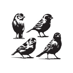 Clean design featuring Canary silhouette - Canary black vector
