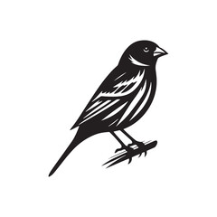 Fototapeta premium Simplified Canary silhouette for digital and print - Canary black vector 