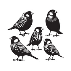 Canary silhouette for educational resources - Canary illustration - minimallest Canary vector
