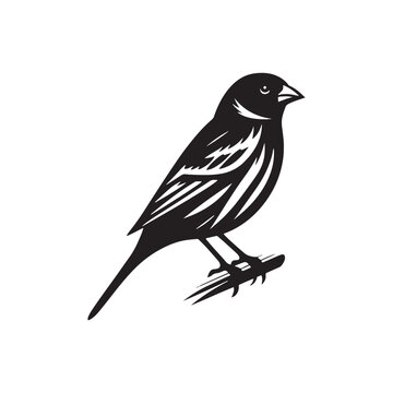 recommend clip art: Simplified Canary silhouette for digital and print - Canary black vector
                    