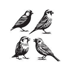 Modern Canary silhouette for creative endeavors - Canary illustration - minimallest Canary vector
