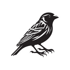 Unique portrayal of Canary silhouette - Canary black vector

