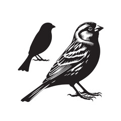 Digital and print-friendly Canary silhouette - Canary black vector
