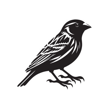 black bird silhouette on white background clip art preview