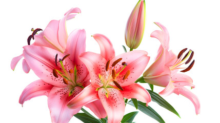 Fototapeta premium Pink lily flower bouquet isolated on white background for card and decoration : Generative AI
