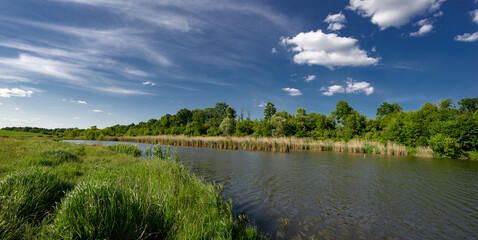 Fototapeta premium Hunting and fishing grounds in the central zone of Ukraine.Spring day in the recreational area.A pond, a meadow, flowers, clouds - paradise all around.