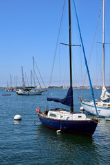Obraz premium luxury sailboat moored in the San Diego bay