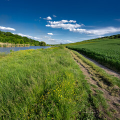 Obraz premium Clouds over a calm river and green meadows.A pond, a meadow, flowers, clouds - paradise all around.