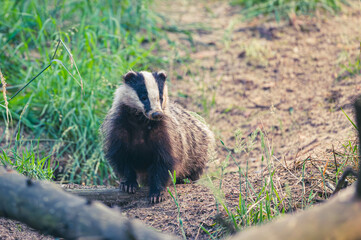 Dachf&auml;he vor dem Bau