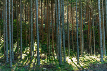 Polskie Góry, Tatry
