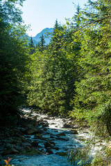 Polskie G&oacute;ry, Tatry, g&oacute;rski potok