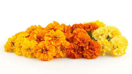 Fototapeta premium beautiful orange and yellow marigold flowers isolated on white background Indian flowers for traditional functions pongal diwali marriage ayudha pooja : Generative AI