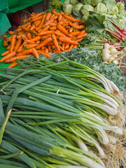 close-up of various fresh vegetables in the market, freshly harvested raw carrots, cabbages, leaks and radish for selling, taken in selective focus