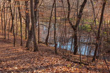 A small kettle pond is partially covered with fallen leaves in early November within Pike Lake Unit, Kettle Moraine State Forest, Hartford, Wisconsin