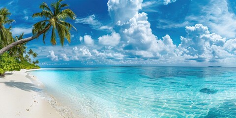 Coastal scenery with sandy beach and palm tree on the shoreline