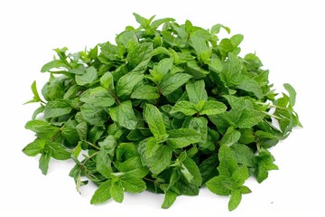 Obraz premium Fresh Mint Leaves on White Background for Healthy Living Generative AI