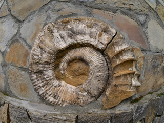 fossilized shells of ancient ammonites. Huge shells are built into the walls as decorations.  Russia, Kabardino-Balkaria, neighborhood of Golubogo Lake  © Elena