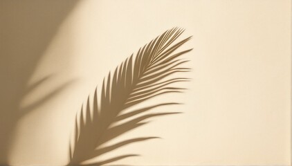 Abstract shadow of a single palm leaf on a beige wall background. Empty space for copy and text.