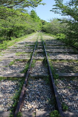 Obraz premium Keage Incline (old train tracks) in Kyoto, Japan