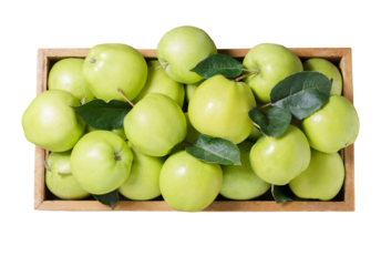 fresh green apples in wooden box isolated on transparent background, top view