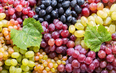  mix of colorful grape as background, top view