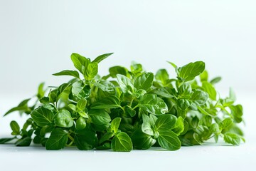 Obraz premium A pile of fresh green leaves on a white surface