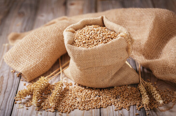 Wheat grains and wheat spikelets on wooden background